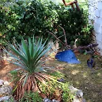 Dom wakacyjny House With A Parking Space Tar, Porec - 7025 Tar-Vabriga