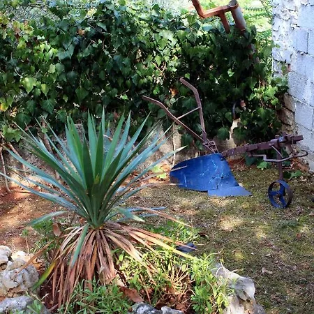 Feriehus House With A Parking Space Tar, Porec - 7025 Tar-Vabriga